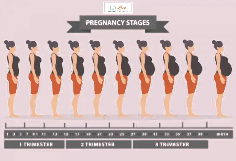 First Trimester (Weeks 1–12): Early Changes You Might Not Notice Harwich